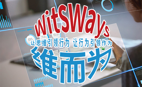 海南维而为投资策划有限公司