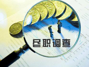 完整尽职调查报告该怎么写